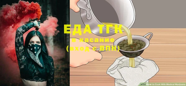 прущие грибы Пионерский